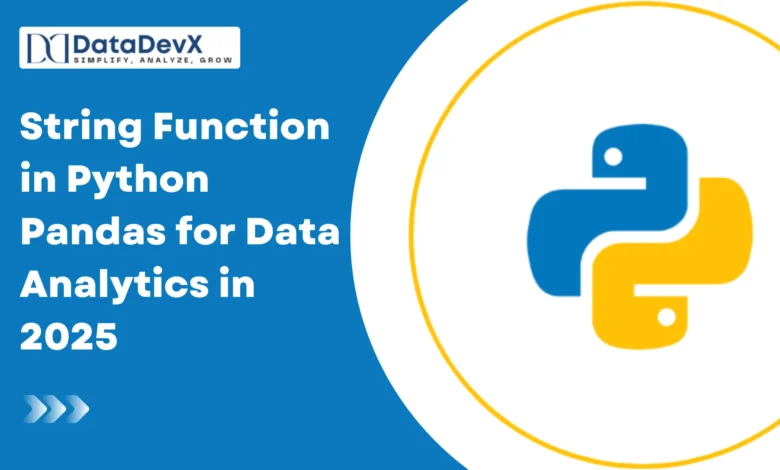 String Function in Python Pandas for Data Analytics in 2025